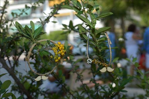 PhotoZante Φωτογραφήσεις εκδηλώσεων